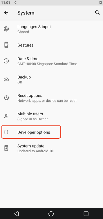 developer options.png